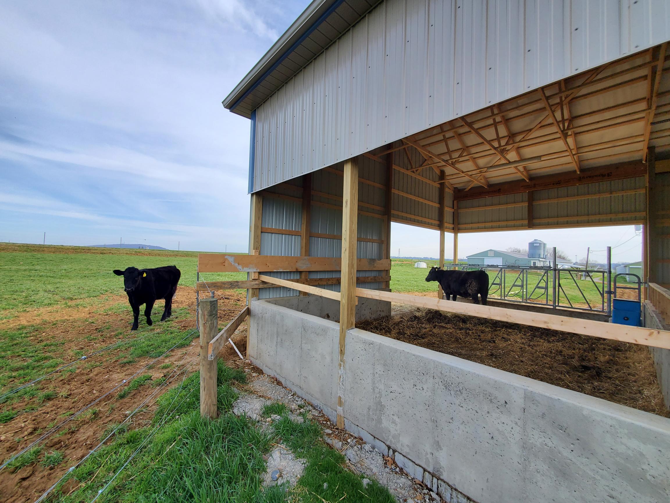 Horse Barn Builders in Aberdeen